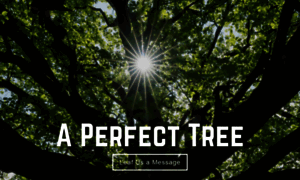 Aperfecttree.com thumbnail