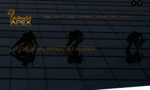 Apexwindowcleaningknoxville.com thumbnail