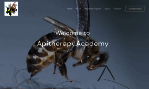 Apitherapy.academy thumbnail
