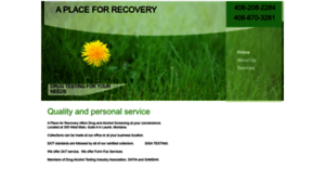 Aplace4recovery.com thumbnail