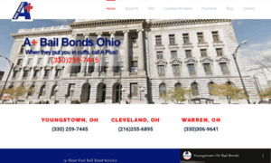 Aplusbailbondsohio.com thumbnail