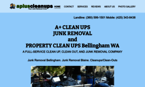 Apluscleanups.com thumbnail