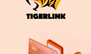 App.tigerlinkbd.com thumbnail