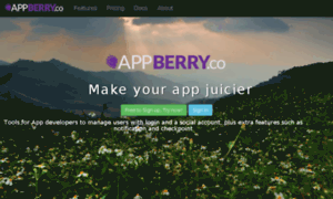 Appberry.co thumbnail