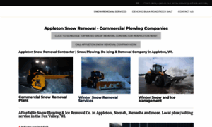 Appletonsnowremoval.com thumbnail