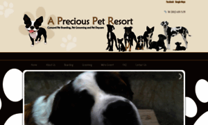 Apreciouspetresort.com thumbnail