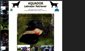 Aquador.vovve.net thumbnail