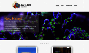 Aqualifeaquarium.com thumbnail