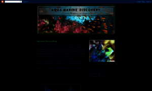 Aquamarinediscovery.blogspot.com thumbnail