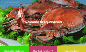 Aquanomiaa.com thumbnail