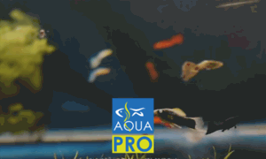 Aquapro.kz thumbnail