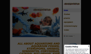 Aquarium-world.jimdo.com thumbnail