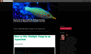 Aquariumadventures.blogspot.com thumbnail