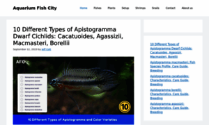 Aquariumfishcity.com thumbnail