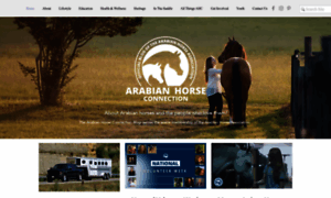 Arabianhorselife.com thumbnail