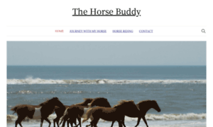 Arabischesportpaarden.com thumbnail