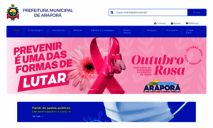 Arapora.mg.gov.br thumbnail