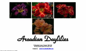 Arcadiandaylilies.com thumbnail