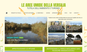 Areeumidedellaversilia.it thumbnail