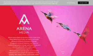 Arenamedia.com thumbnail