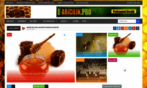 Aricilik.pro thumbnail
