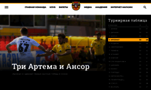 Arsenaltula.ru thumbnail