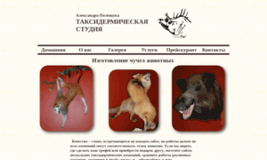 Art-taxidermy.ru thumbnail