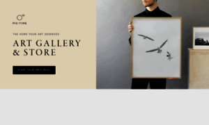 Artgallery.pic-time.com thumbnail