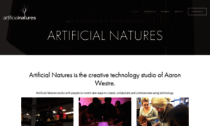 Artificialnatures.com thumbnail