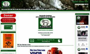 Asanda.org thumbnail