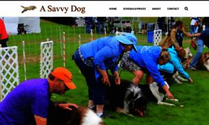 Asavvydogtraining.com thumbnail