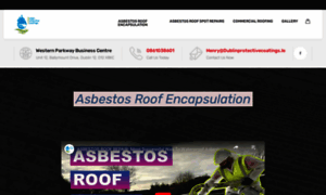 Asbestosroofwaterproofing.ie thumbnail