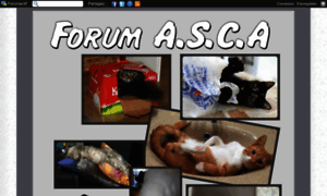 Asca.forumactif.org thumbnail