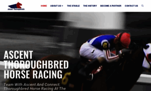 Ascentthoroughbreds.com thumbnail