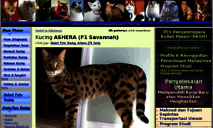 Ashera-kucing-ras-g6.kucing.biz thumbnail