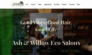 Ashwillowsalon.com thumbnail