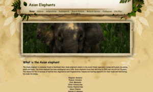 Asianelephantsevolutionsolution.weebly.com thumbnail