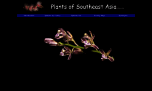 Asianplant.net thumbnail
