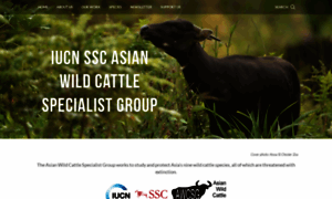 Asianwildcattle.org thumbnail