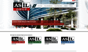 Asilgrup.com.tr thumbnail