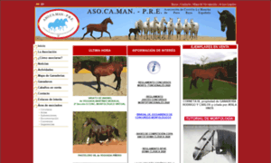 Asocaman-pre.com thumbnail