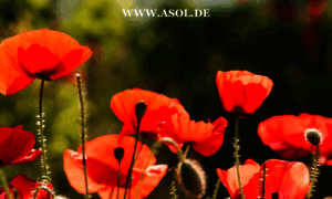 Asol.de thumbnail
