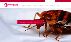 Assainissement-services.net thumbnail