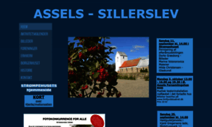 Assels.dk thumbnail