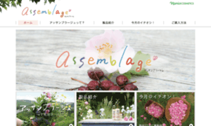 Assemblage-n.com thumbnail