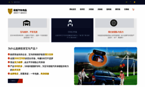 Asset-packagist.com thumbnail