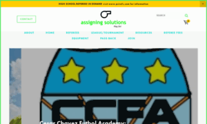 Assigningsolutions.com thumbnail