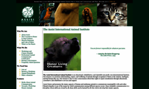 Assisianimals.org thumbnail