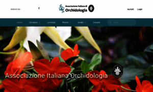 Associazioneitalianaorchidologia.it thumbnail