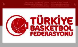 Atagulbasketbolakademi.com thumbnail